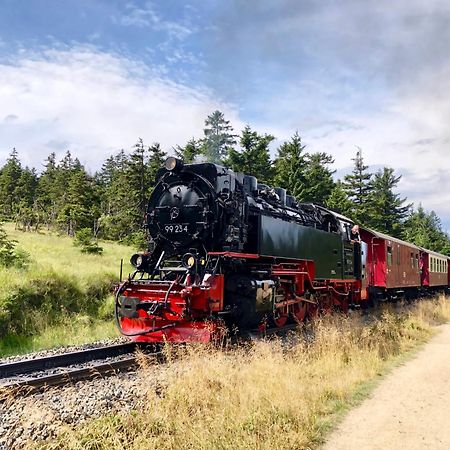Fewo Schlossblick #Innenstadt #Garten #Netflix Von Harztraveler Wernigerode Ngoại thất bức ảnh